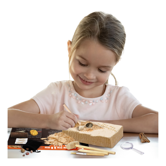 Kit Excavación Descubre Aprende y Explora Fósiles