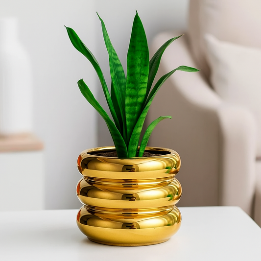 Florero Decorativo Cilíndrico Dorado