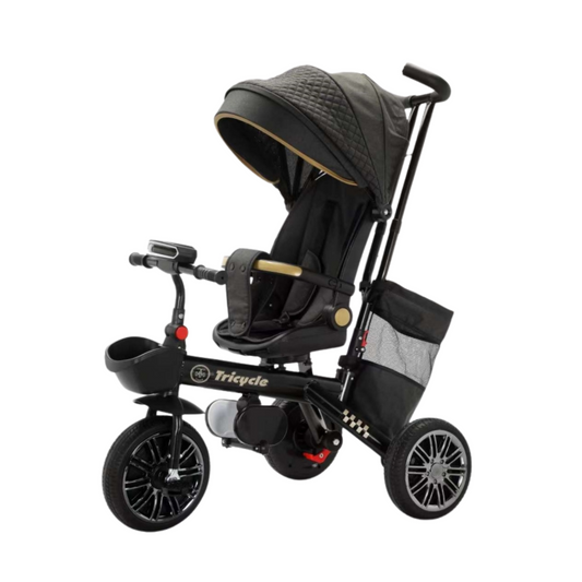 Triciclo evolutivo 6 en 1