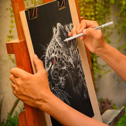 Caja De Lápices De Dibujo Kalour 06 Piezas