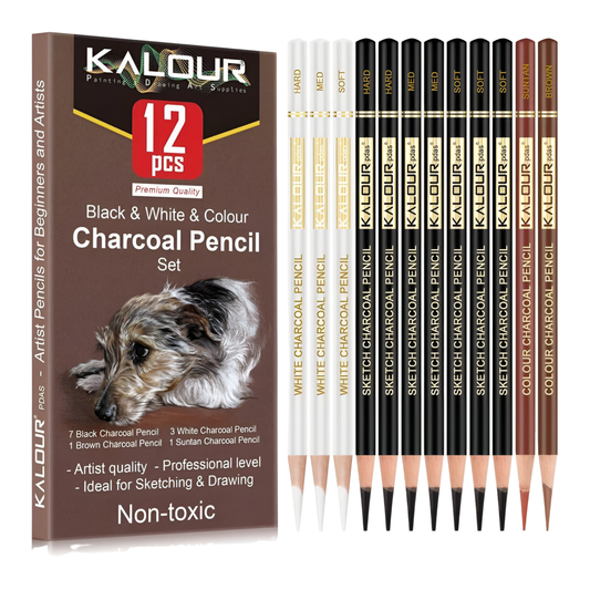 Caja De Lápices De Dibujo Kalour 12 Piezas