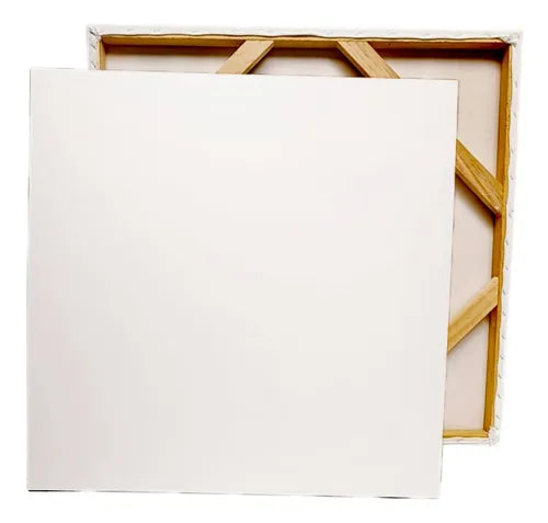 Lienzo Blanco 100% Algodón (20x20cm) Pointer Artpro