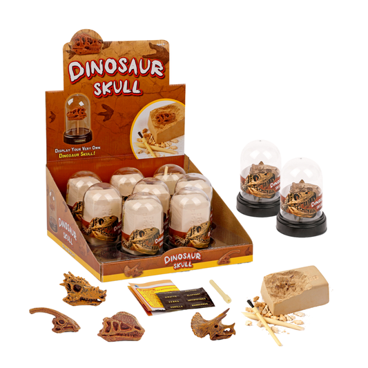 Kit Excavación Cráneo de Dinosaurio