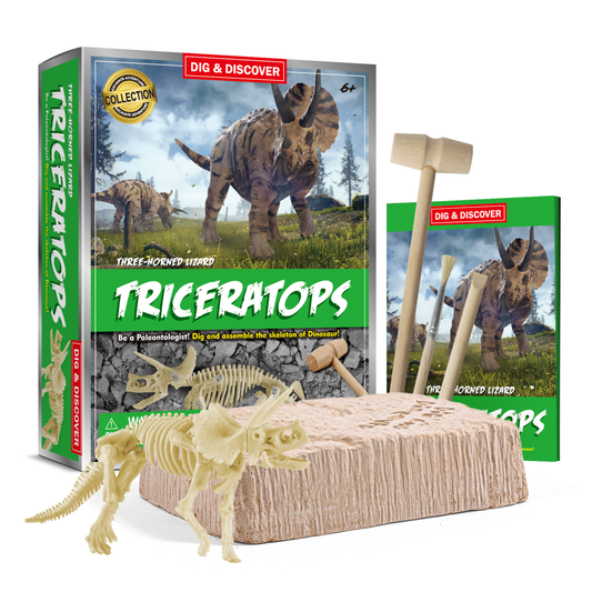 Kit Excavación Triceratops Lagarto Tres Cuernos