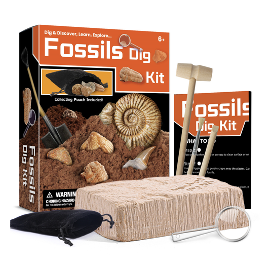 Kit Excavación Descubre Aprende y Explora Fósiles
