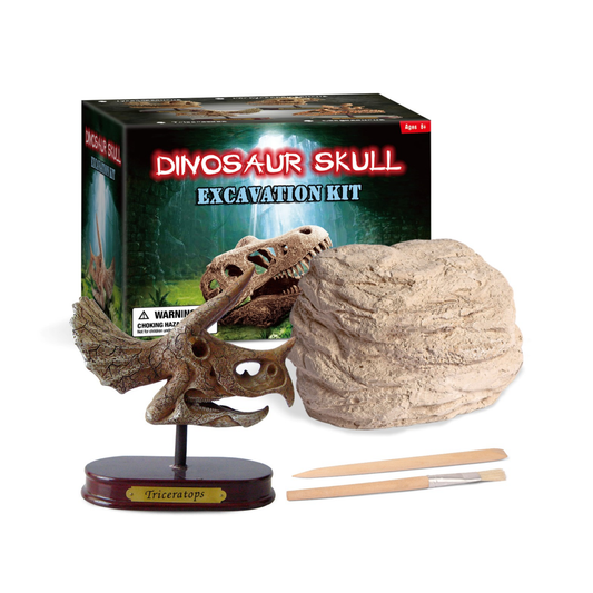 Kit Excavación Cráneo de Dinosaurio Triceratops