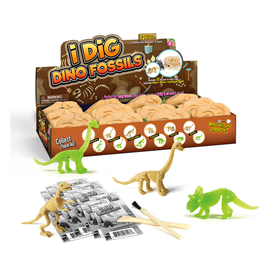 Kit Excavación Fósiles de Dinosaurios