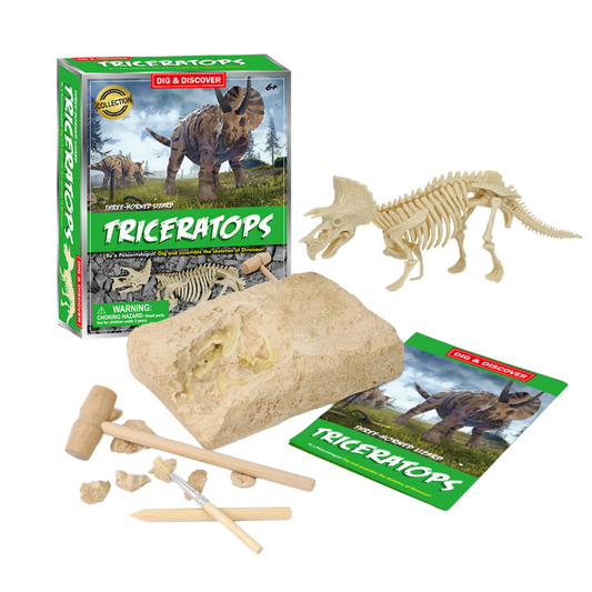 Kit Excavación Triceratops Lagarto Tres Cuernos